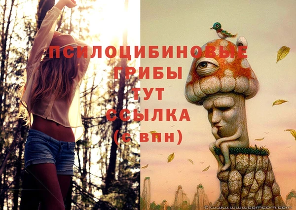 альфа пвп Нефтегорск